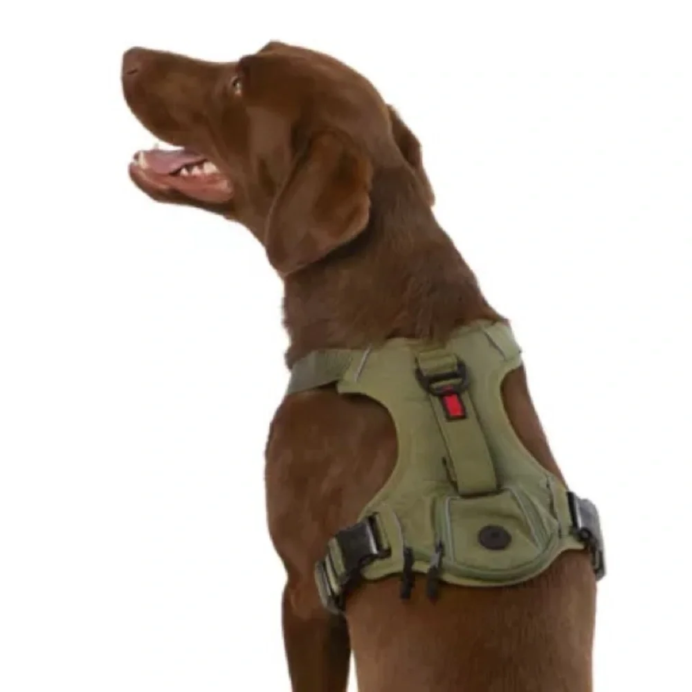 KONG Tan Dog Harness One Small and One Medium